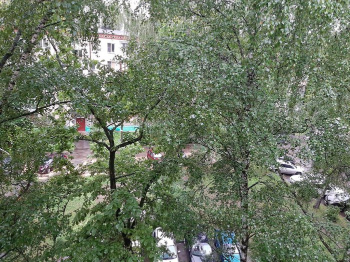 Сезон дождей в Центральном регионе: ливни, грозы и подтопления